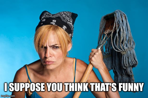 cangry cleaner women | I SUPPOSE YOU THINK THAT'S FUNNY | image tagged in cangry cleaner women | made w/ Imgflip meme maker