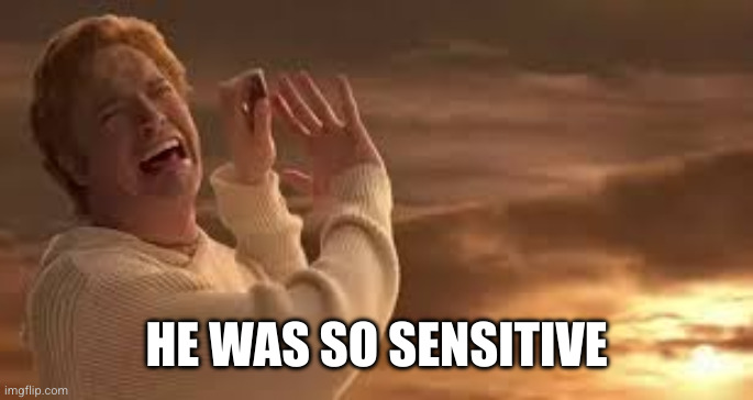 Bedazzled Sensitive Guy | HE WAS SO SENSITIVE | image tagged in bedazzled sensitive guy | made w/ Imgflip meme maker