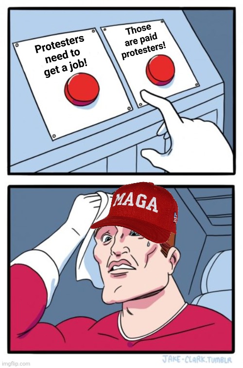 MAGA confusion | Those are paid protesters! Protesters need to get a job! | image tagged in memes,two buttons | made w/ Imgflip meme maker