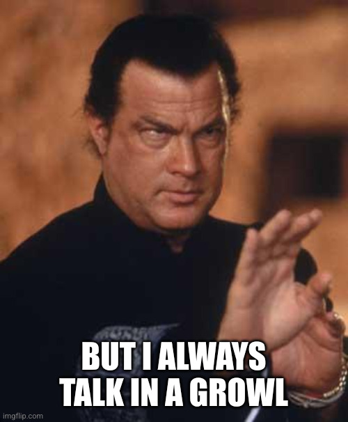 Steven Seagal | BUT I ALWAYS TALK IN A GROWL | image tagged in steven seagal | made w/ Imgflip meme maker