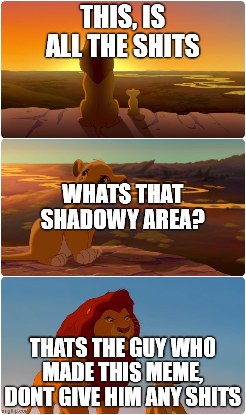 Lion King Meme | THIS, IS ALL THE SHITS THATS THE GUY WHO MADE THIS MEME, DONT GIVE HIM ANY SHITS WHATS THAT SHADOWY AREA? | image tagged in lion king meme | made w/ Imgflip meme maker