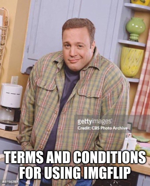 Kevin James | TERMS AND CONDITIONS FOR USING IMGFLIP | image tagged in kevin james | made w/ Imgflip meme maker