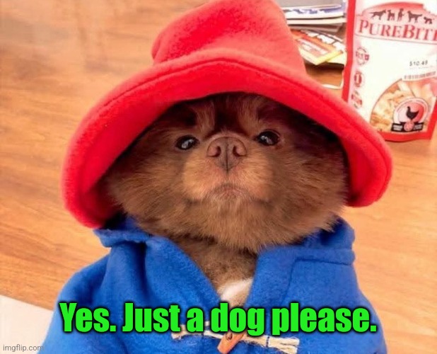 Yes. Just a dog please. | made w/ Imgflip meme maker