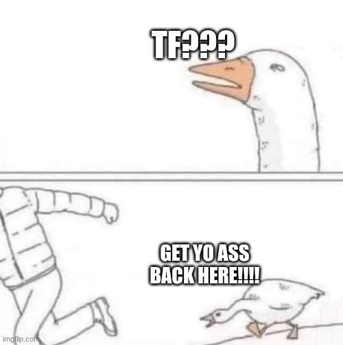 TF??? GET YO ASS BACK HERE!!!! | image tagged in goose chase | made w/ Imgflip meme maker