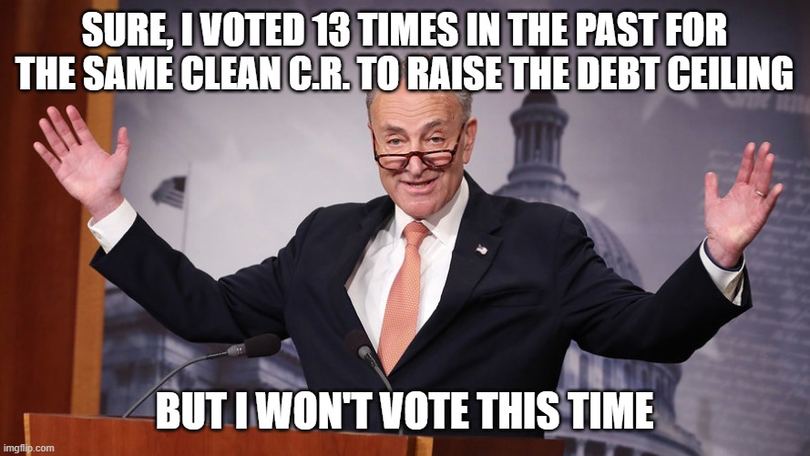 Chuck Schumer | SURE, I VOTED 13 TIMES IN THE PAST FOR THE SAME CLEAN C.R. TO RAISE THE DEBT CEILING BUT I WON'T VOTE THIS TIME | image tagged in chuck schumer | made w/ Imgflip meme maker