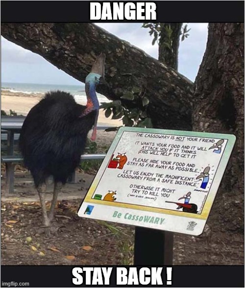 He Approves Of This Sign ! | DANGER; STAY BACK ! | image tagged in cassowary,warning sign,approval | made w/ Imgflip meme maker