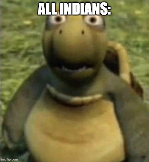 shocked turtle | ALL INDIANS: | image tagged in shocked turtle | made w/ Imgflip meme maker