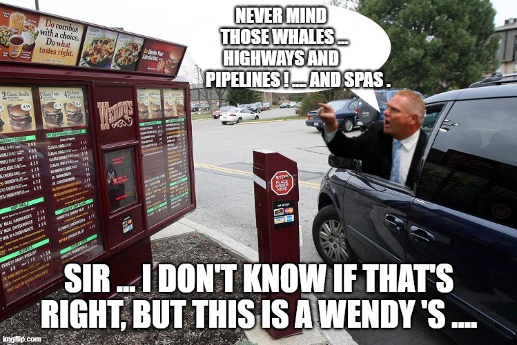 canadian politics | NEVER MIND 
               THOSE WHALES ...
             HIGHWAYS AND
                       PIPELINES ! .... AND SPAS . SIR ... I DON'T KNOW IF THAT'S RIGHT, BUT THIS IS A WENDY 'S .... | image tagged in political meme | made w/ Imgflip meme maker