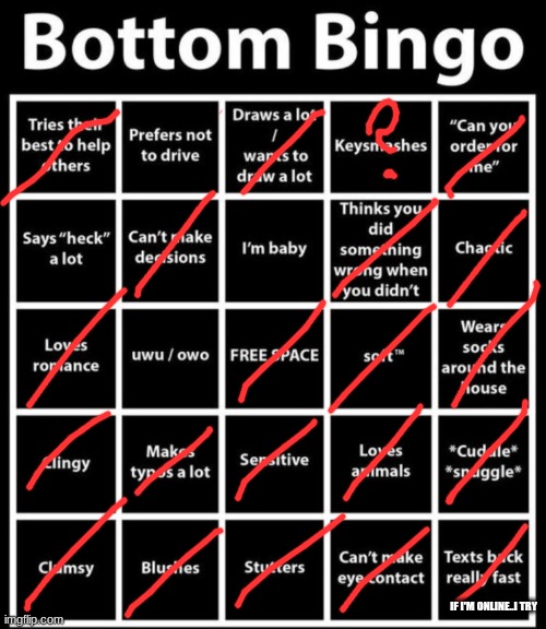 Bottom Bingo | IF I'M ONLINE..I TRY | image tagged in bottom bingo | made w/ Imgflip meme maker