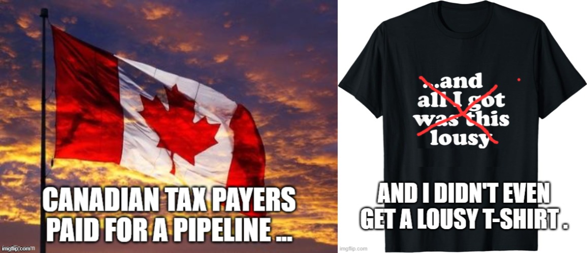 canadian politics | image tagged in political meme | made w/ Imgflip meme maker