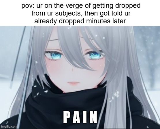 dropout?? i think not | pov: ur on the verge of getting dropped
from ur subjects, then got told ur
already dropped minutes later; P A I N | image tagged in pain cherondriella,relatable,college,memes,sad,dropout | made w/ Imgflip meme maker