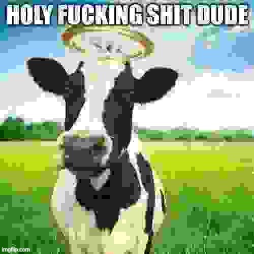 Holy fucking shit dude | image tagged in holy fucking shit dude | made w/ Imgflip meme maker
