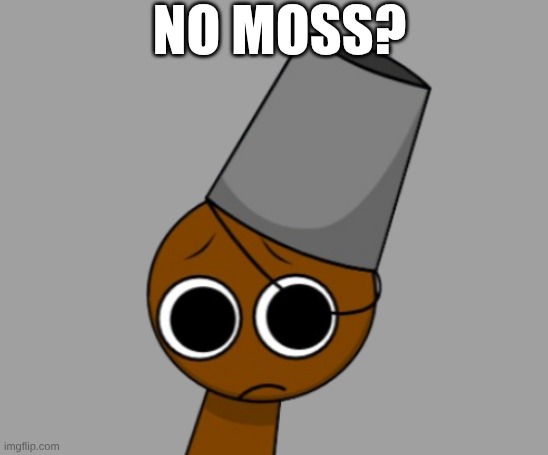 no moss for brud | NO MOSS? | made w/ Imgflip meme maker