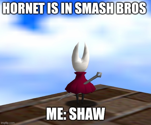 The hornet in sm64 | HORNET IS IN SMASH BROS; ME: SHAW | image tagged in the hornet in sm64 | made w/ Imgflip meme maker