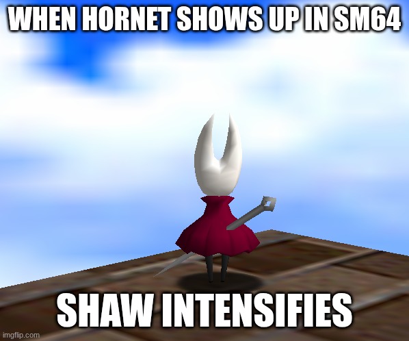 The hornet in sm64 | WHEN HORNET SHOWS UP IN SM64; SHAW INTENSIFIES | image tagged in the hornet in sm64 | made w/ Imgflip meme maker