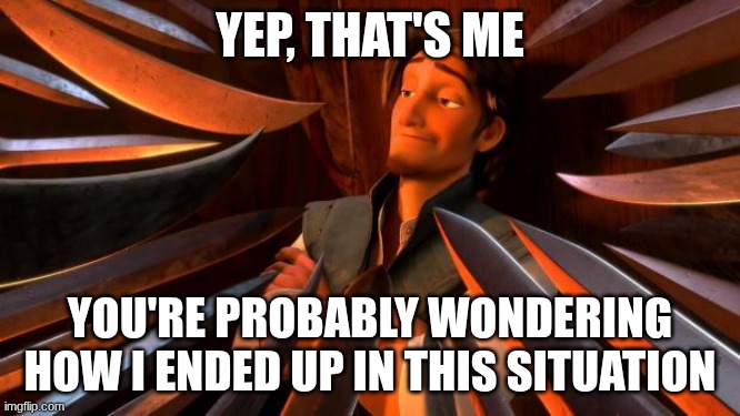 Flynn rider swords | YEP, THAT'S ME YOU'RE PROBABLY WONDERING HOW I ENDED UP IN THIS SITUATION | image tagged in flynn rider swords | made w/ Imgflip meme maker