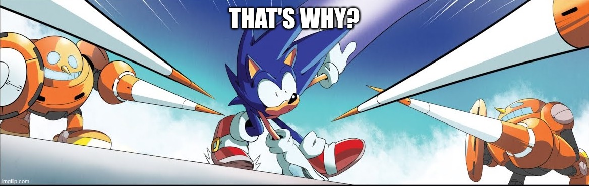 cannons sonic | THAT'S WHY? | image tagged in cannons sonic | made w/ Imgflip meme maker