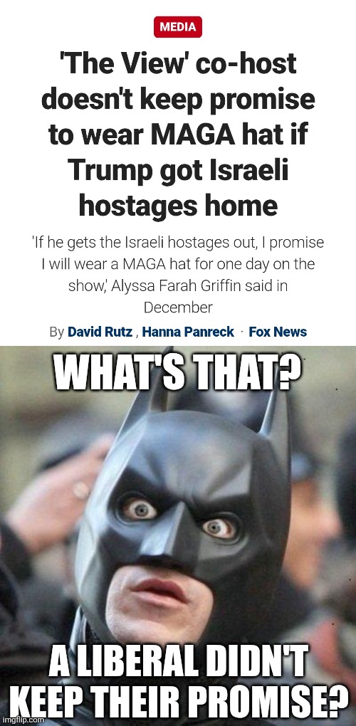 WHAT'S THAT? A LIBERAL DIDN'T KEEP THEIR PROMISE? | image tagged in shocked batman | made w/ Imgflip meme maker