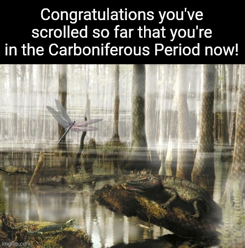 Congratulations | Congratulations you've scrolled so far that you're in the Carboniferous Period now! | image tagged in memes,history memes,funny,lol,humor,shitpost | made w/ Imgflip meme maker