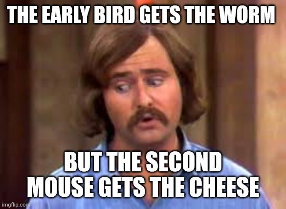 Early bird | THE EARLY BIRD GETS THE WORM; BUT THE SECOND MOUSE GETS THE CHEESE | image tagged in meathead,funny memes | made w/ Imgflip meme maker