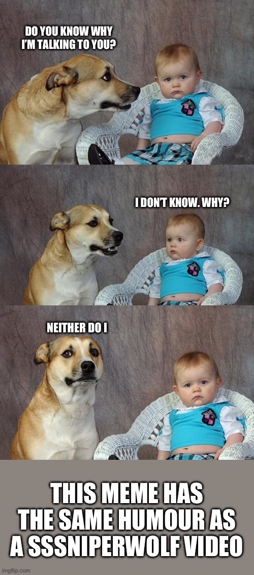 Sssniperwolf better not find me | DO YOU KNOW WHY I’M TALKING TO YOU? I DON’T KNOW. WHY? NEITHER DO I; THIS MEME HAS THE SAME HUMOUR AS A SSSNIPERWOLF VIDEO | image tagged in memes,dad joke dog | made w/ Imgflip meme maker