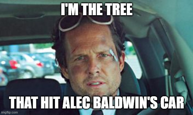 mayhem | I'M THE TREE THAT HIT ALEC BALDWIN'S CAR | image tagged in mayhem | made w/ Imgflip meme maker
