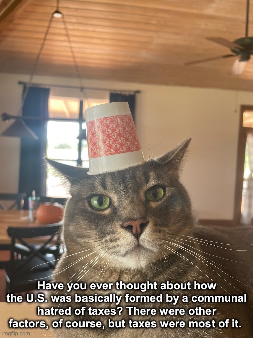 It’s a bit of an oversimplification. | Have you ever thought about how the U.S. was basically formed by a communal hatred of taxes? There were other factors, of course, but taxes were most of it. | made w/ Imgflip meme maker