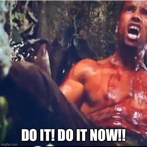Predator Do It Now | DO IT! DO IT NOW!! | image tagged in predator do it now | made w/ Imgflip meme maker