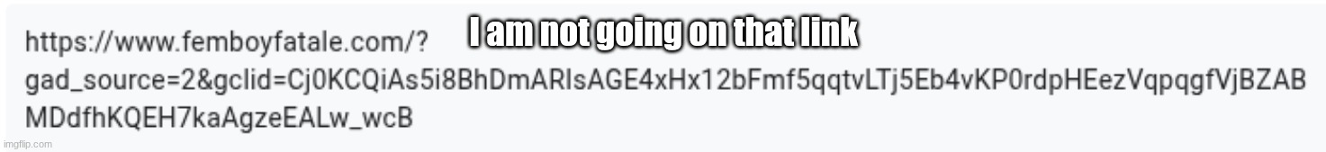 https://forms.gle/tCgvxHLTnii8UXeNA | I am not going on that link | made w/ Imgflip meme maker