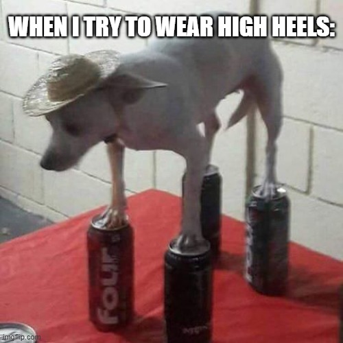 Dog on cans | WHEN I TRY TO WEAR HIGH HEELS: | image tagged in not today | made w/ Imgflip meme maker