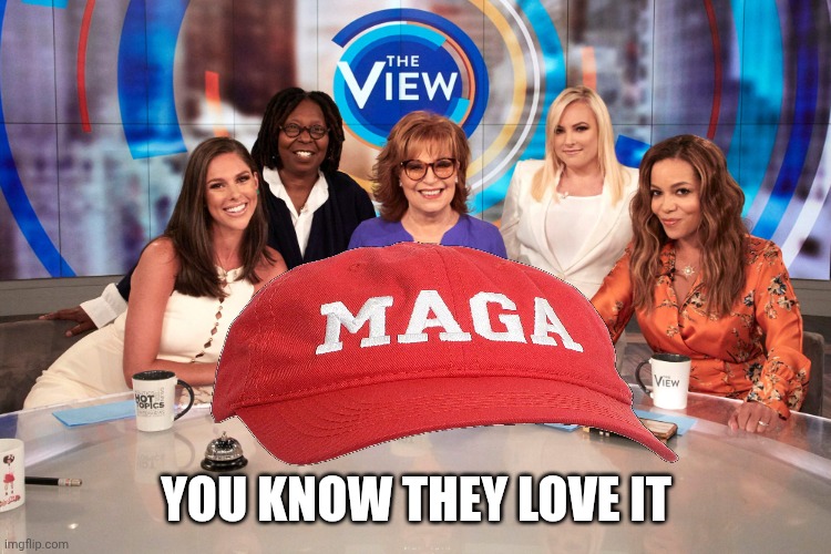 The View | YOU KNOW THEY LOVE IT | image tagged in the view | made w/ Imgflip meme maker