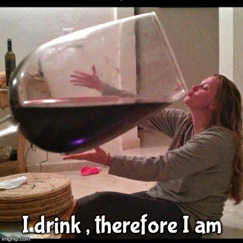 Wine Drinker | I drink , therefore I am | image tagged in wine drinker | made w/ Imgflip meme maker