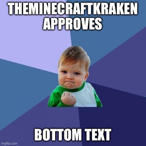 THEMINECRAFTKRAKEN APPROVES BOTTOM TEXT | image tagged in memes,success kid | made w/ Imgflip meme maker