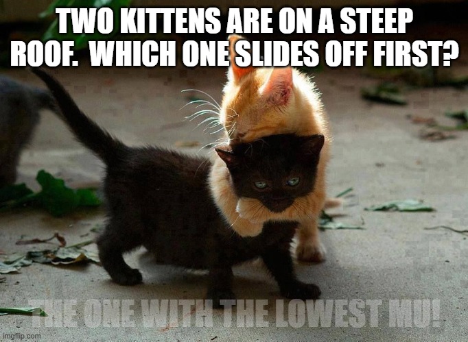 Physics Friction Joke | TWO KITTENS ARE ON A STEEP ROOF.  WHICH ONE SLIDES OFF FIRST? THE ONE WITH THE LOWEST MU! | image tagged in kitten hug | made w/ Imgflip meme maker