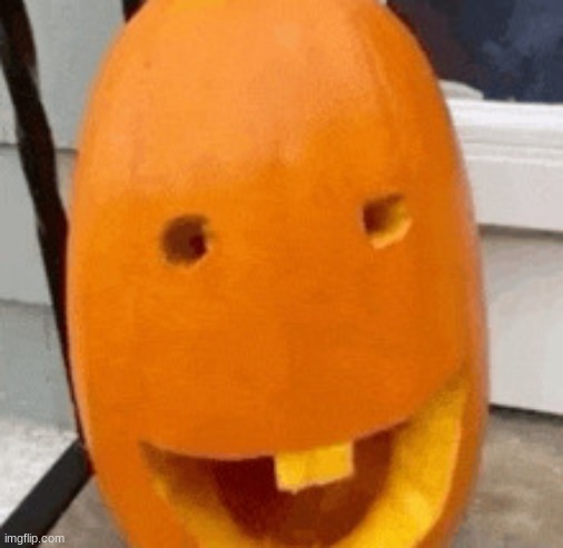 Dumbass Pumking | image tagged in dumbass pumking | made w/ Imgflip meme maker