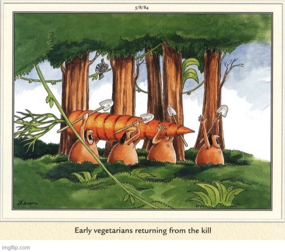 The carrot put up quite a struggle… | image tagged in the far side,comics,early vegetarians,giant carrot,hunting,the kill | made w/ Imgflip meme maker
