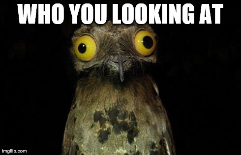 Weird Stuff I Do Potoo | WHO YOU LOOKING AT | image tagged in memes,weird stuff i do potoo | made w/ Imgflip meme maker