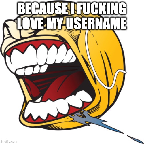 Screaming tennis ball | BECAUSE I FUCKING LOVE MY USERNAME | image tagged in screaming tennis ball | made w/ Imgflip meme maker