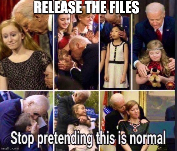 RELEASE THE FILES | made w/ Imgflip meme maker
