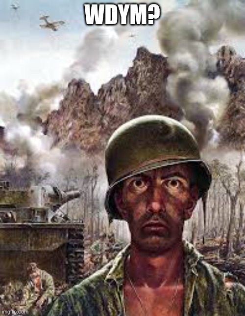 Thousand Yard Stare | WDYM? | image tagged in thousand yard stare | made w/ Imgflip meme maker