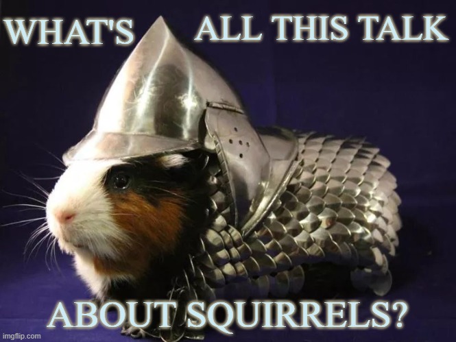 Having their own stream doesn't keep the G.P.s out of this one | ALL THIS TALK; WHAT'S; ABOUT SQUIRRELS? | image tagged in guinea pig battle armor,rodents,battle,memes | made w/ Imgflip meme maker