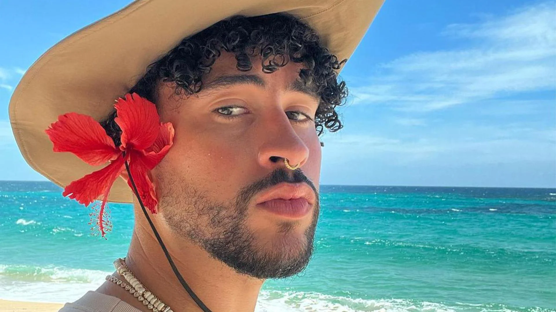 bunny Blank Meme Template