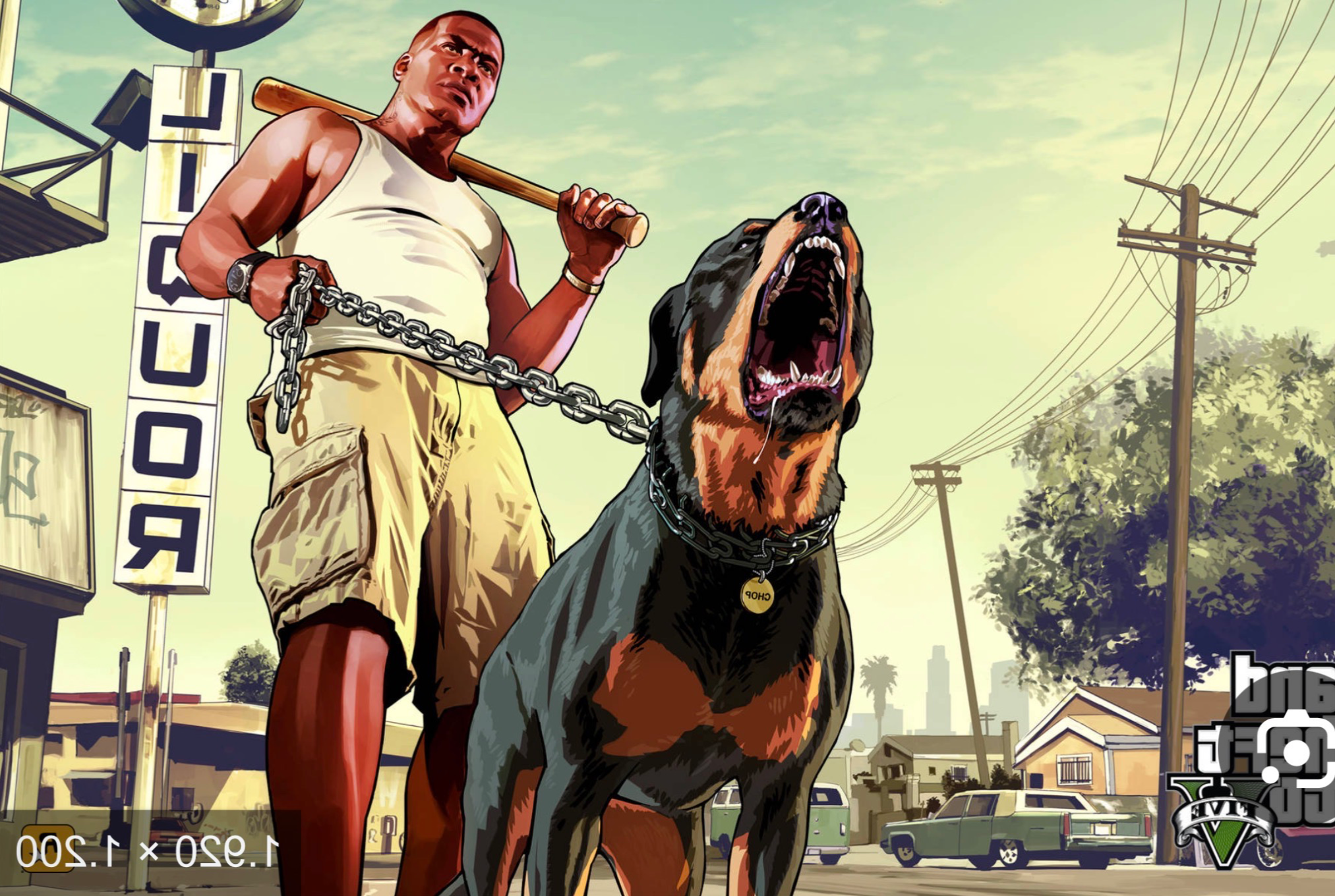 Luca Di Leonardo Blank Meme Template