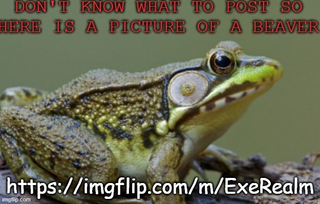 1st person that joins gets mod | https://imgflip.com/m/ExeRealm | image tagged in beaver post when bored | made w/ Imgflip meme maker