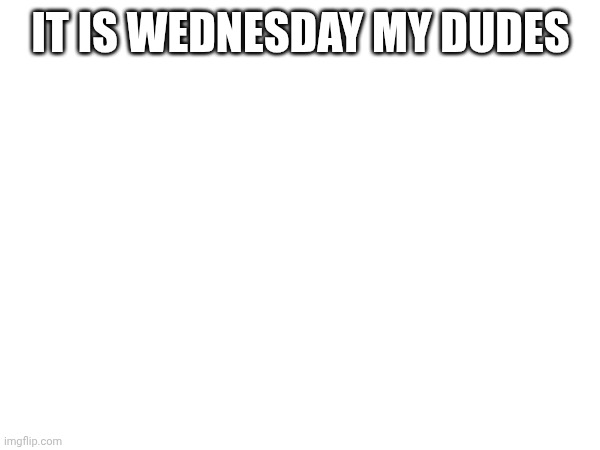 AAAAAAAAHHHHH | IT IS WEDNESDAY MY DUDES | image tagged in it is wednesday my dudes | made w/ Imgflip meme maker