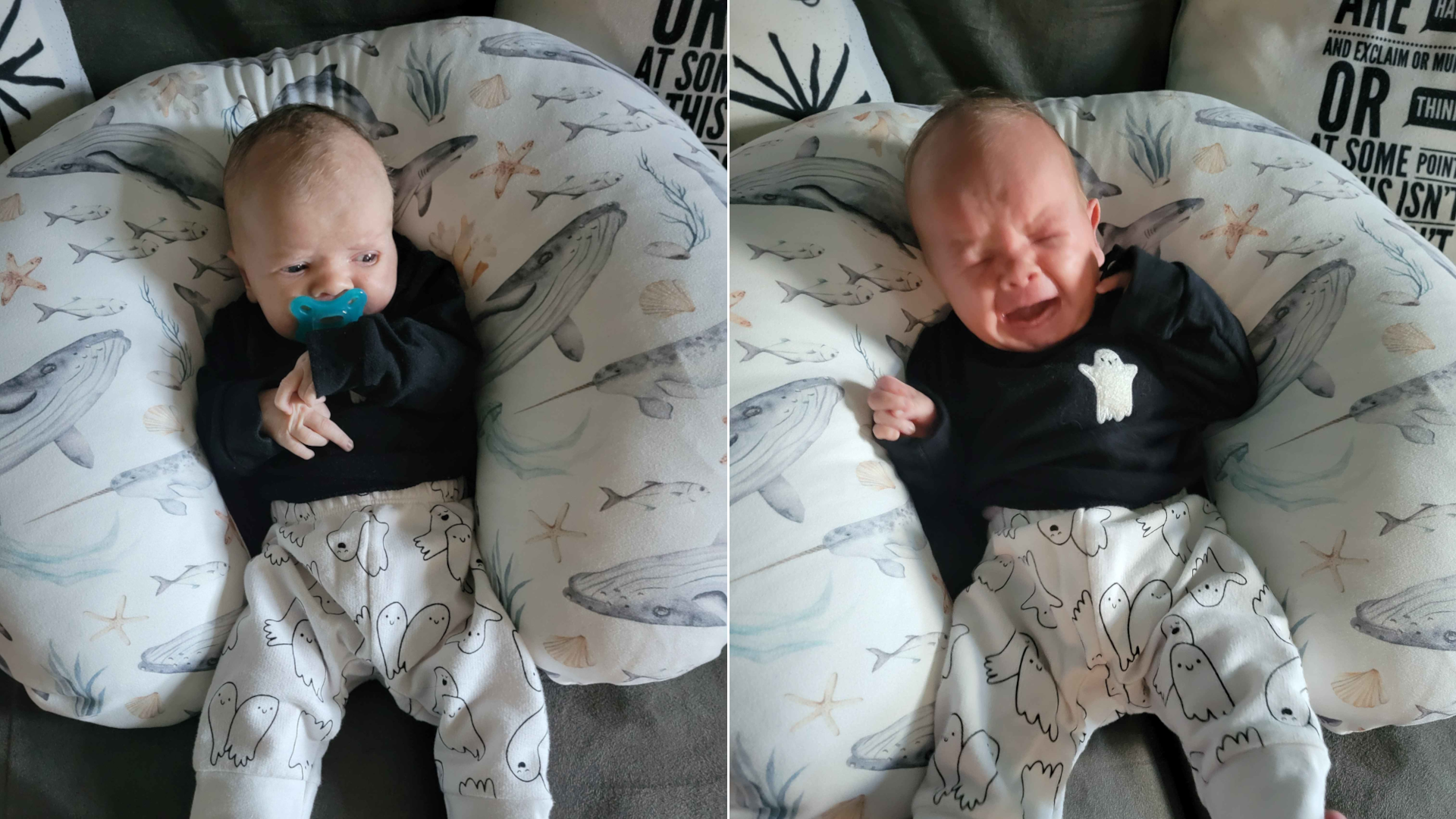 Twarted plan Blank Meme Template