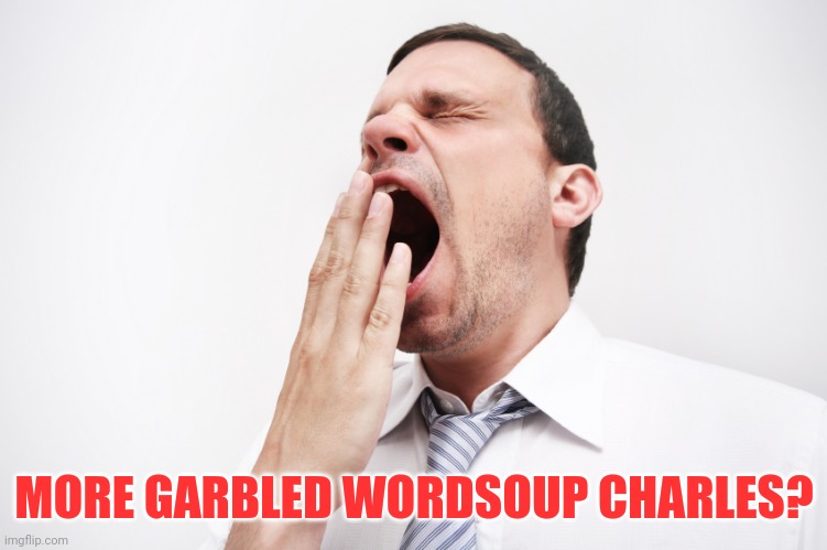yawn | MORE GARBLED WORDSOUP CHARLES? | image tagged in yawn | made w/ Imgflip meme maker