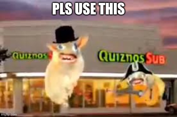 THE QUIZNOS SUBS | PLS USE THIS | image tagged in the quiznos subs | made w/ Imgflip meme maker