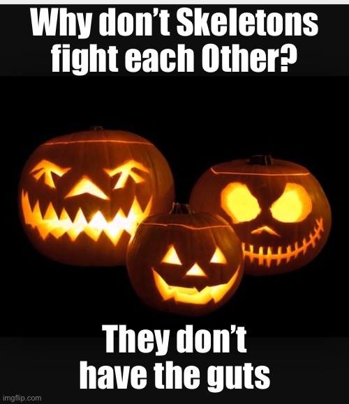 neewolloH | Why don’t Skeletons fight each Other? They don’t have the guts | image tagged in halloween | made w/ Imgflip meme maker