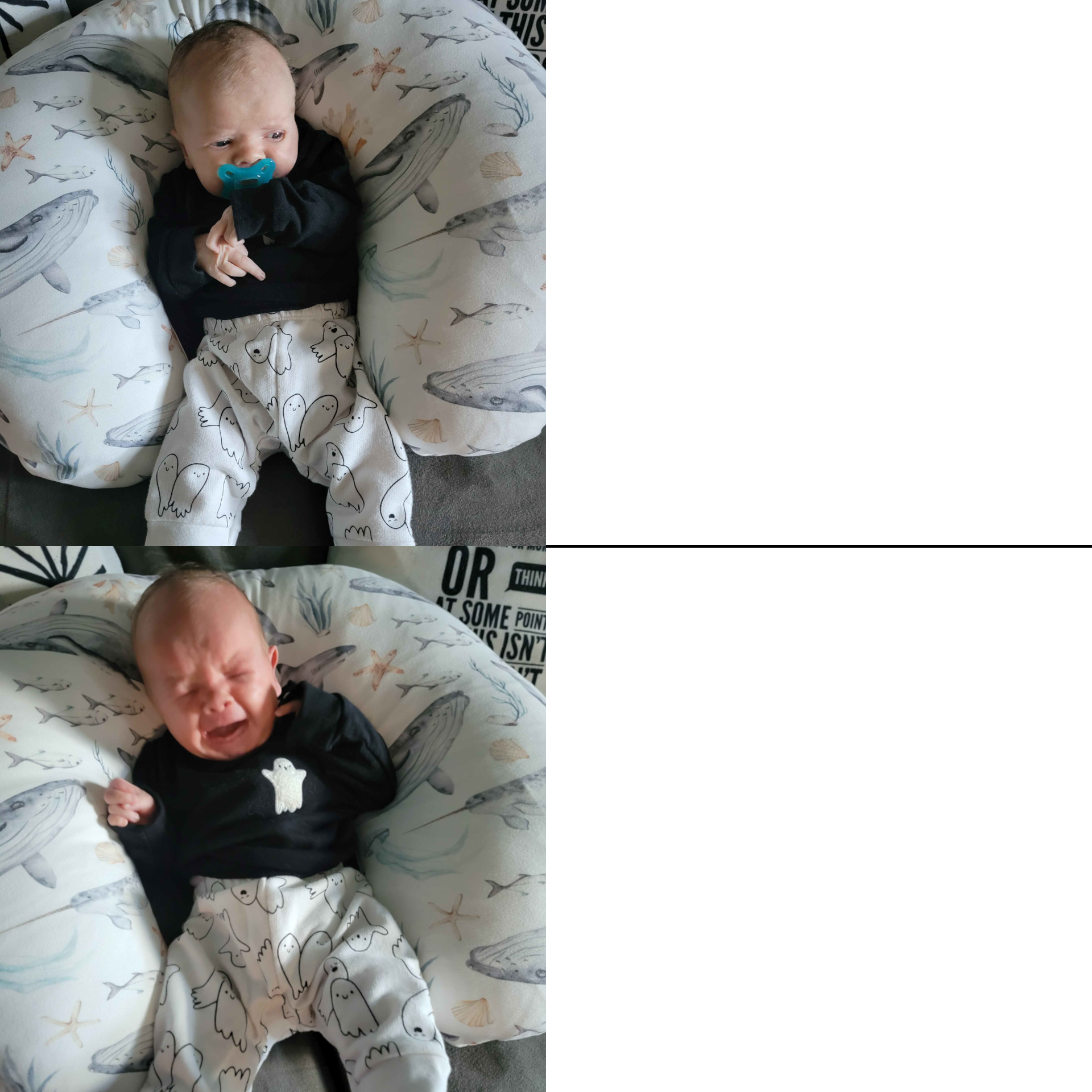 Twarted Baby Blank Meme Template